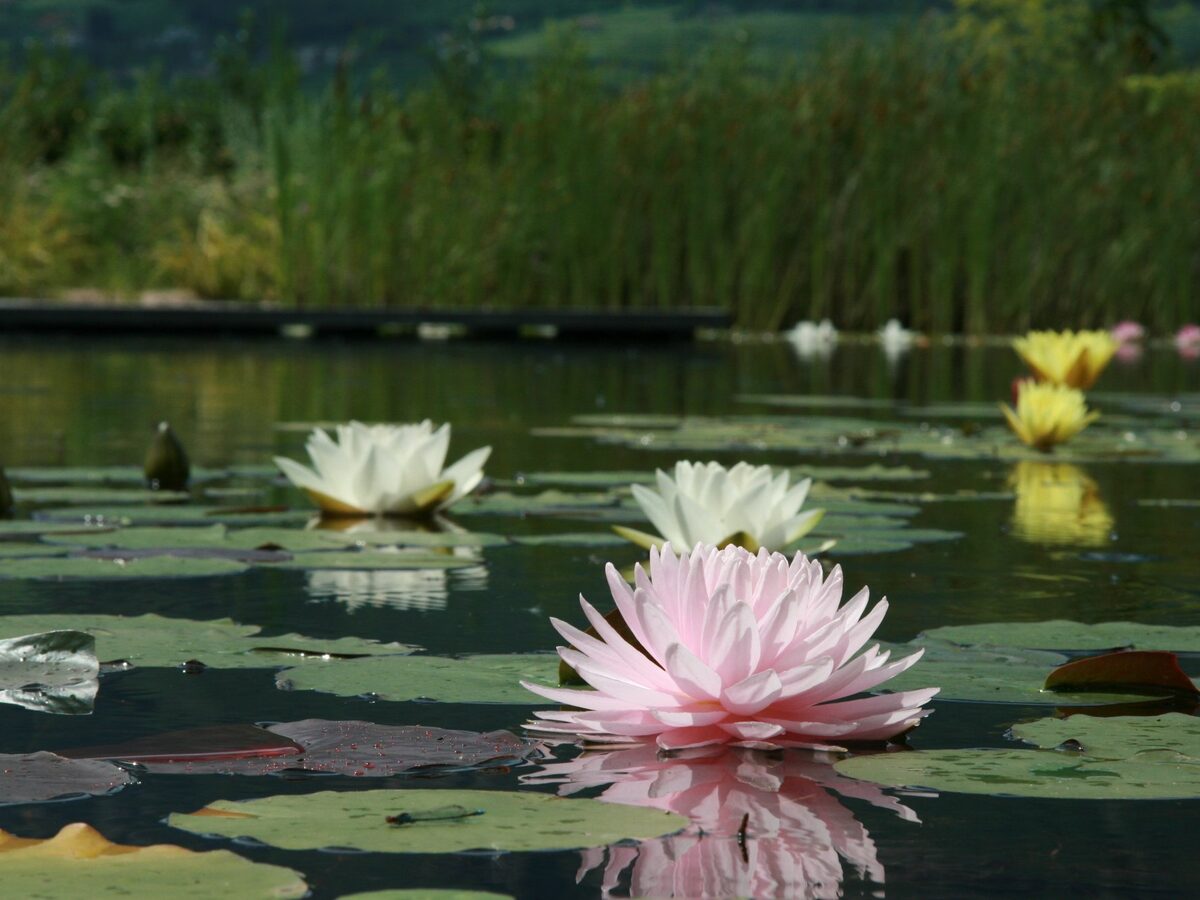 Stimmungen und Ausblicke
