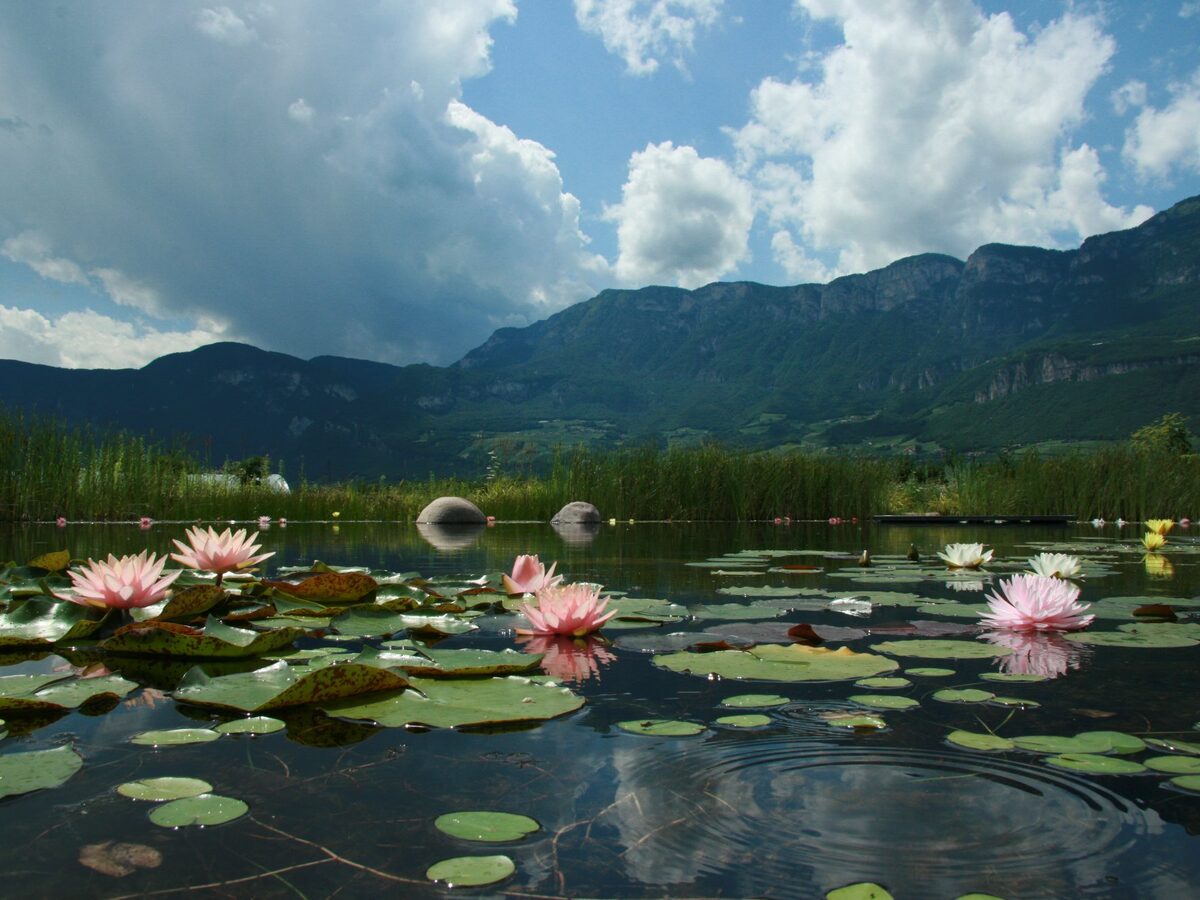 Stimmungen und Ausblicke