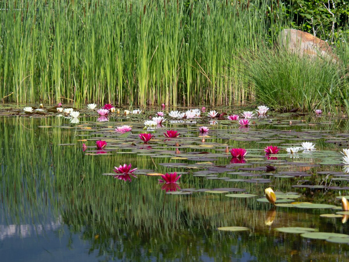 Stimmungen und Ausblicke