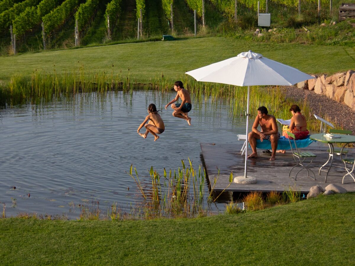 Schwimmteiche – Aivisto