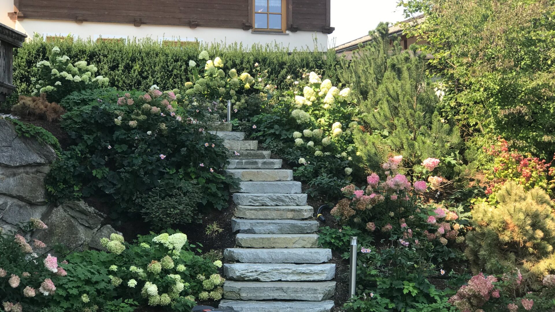 Vorher-Nachher – Aivisto